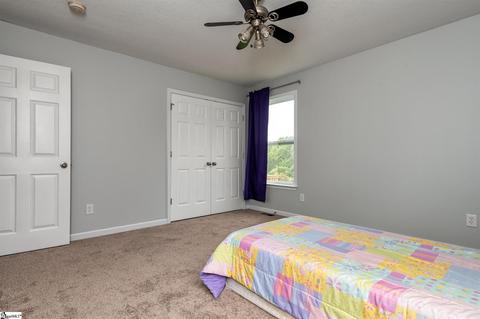 243 Tapp Rd, Greer, SC 29651 photo 20