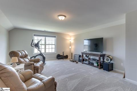306 Drizzle Ct, Duncan, SC 29334 photo 30