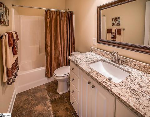 273 River Falls Dr, Duncan, SC 29334 photo 22