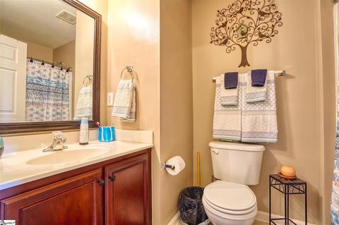 180 Spring Crossing Cir, Greer, SC 29650 photo 16