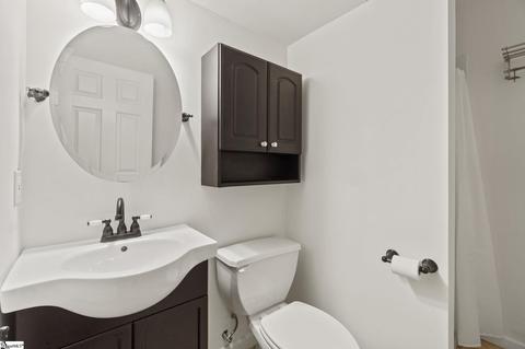 19 Shadetree Ct, Greer, SC 29651 photo 23