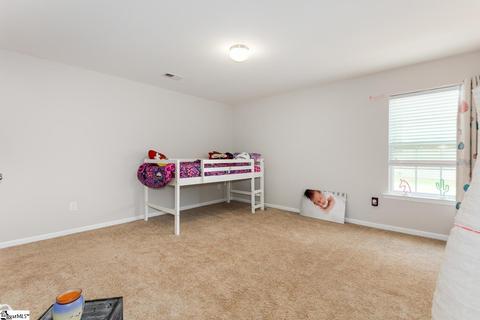 296 Ashley Danielle Dr, Duncan, SC 29334 photo 19