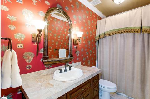 108 Marsh Spring Ct, Greer, SC 29650 photo 24