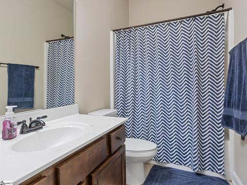 139 Sandpine Way, Greer, SC 29651 photo 22