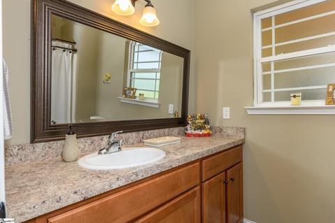 438 Oliver Scotts Mill Rd, Honea Path, SC 29654 photo 17