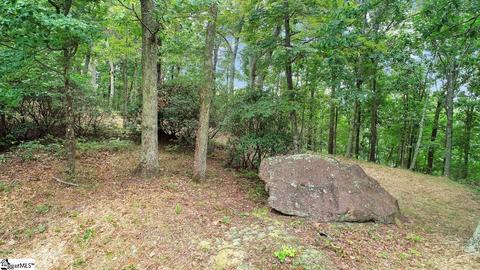 208 Eagle Rock Rd, Landrum, SC 29356 photo 5