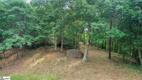 208 Eagle Rock Rd, Landrum, SC 29356 photo 4