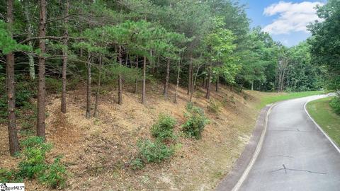 208 Eagle Rock Rd, Landrum, SC 29356 photo 7