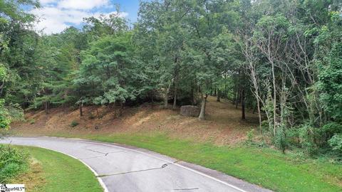 208 Eagle Rock Rd, Landrum, SC 29356 photo 6