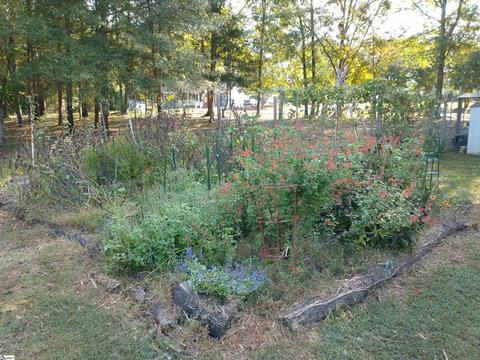 110 Whippoorwill Ln, Pelzer, SC 29669 photo 31