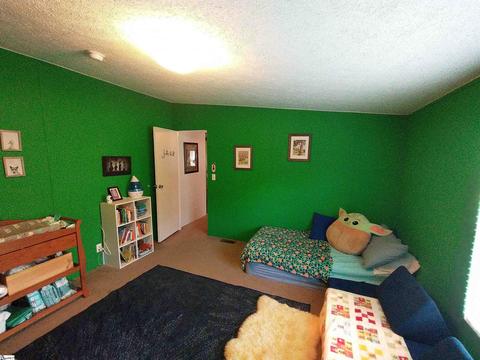 110 Whippoorwill Ln, Pelzer, SC 29669 photo 21