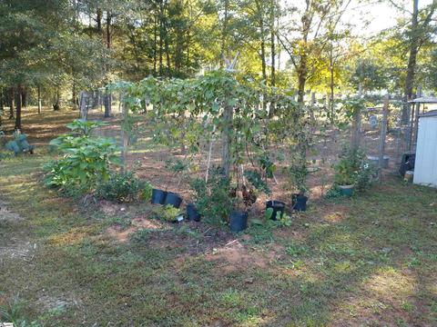 110 Whippoorwill Ln, Pelzer, SC 29669 photo 32