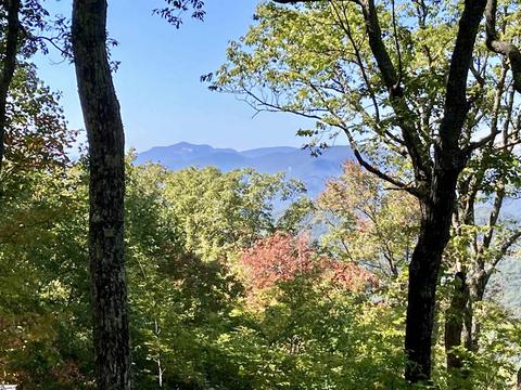 108 Fall Breeze Trl, Travelers Rest, SC 29690
