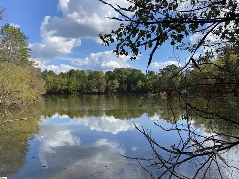 00 Old Spartanburg Hwy, Jonesville, SC 29353