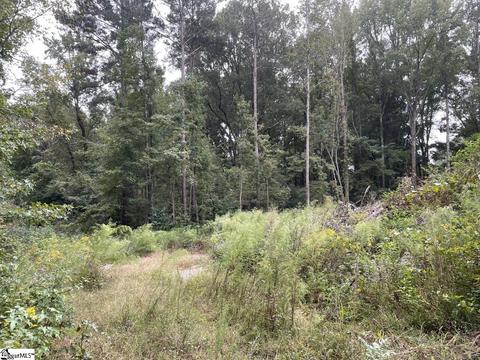 00 Sally Dr, Clinton, SC 29325