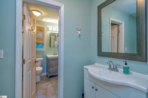 40 E Circle Ave, Greenville, SC 29607 photo 34