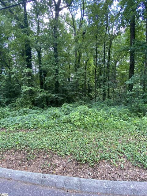 212 Windsor Rd, Greer, SC 29651 photo 1
