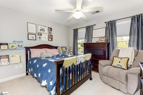 225 Rock Rd, Greer, SC 29651 photo 16
