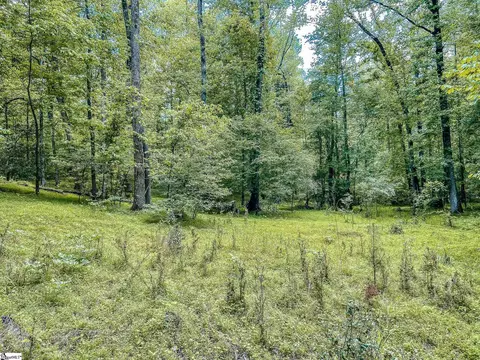 11270 Mccullough School Rd, Honea Path, SC 29654 photo 22