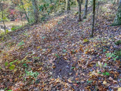 11270 Mccullough School Rd, Honea Path, SC 29654 photo 10