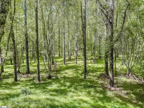 11270 Mccullough School Rd, Honea Path, SC 29654 photo 19