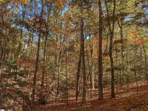 11270 Mccullough School Rd, Honea Path, SC 29654 photo 8