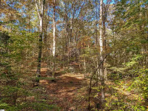 11270 Mccullough School Rd, Honea Path, SC 29654 photo 9