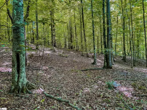 11270 Mccullough School Rd, Honea Path, SC 29654 photo 24