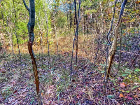 11270 Mccullough School Rd, Honea Path, SC 29654 photo 15