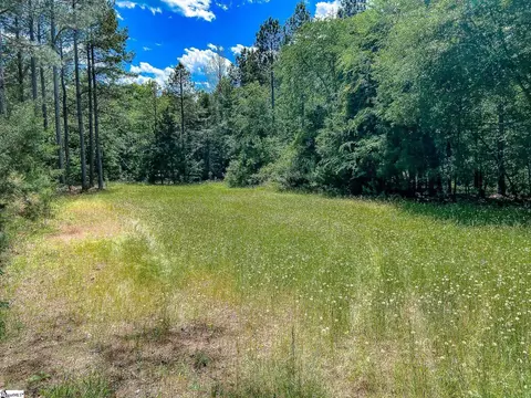 11270 Mccullough School Rd, Honea Path, SC 29654 photo 16