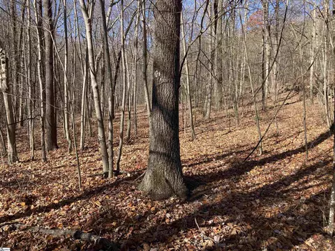 130 Indian Pipe Trl, Landrum, SC 29356