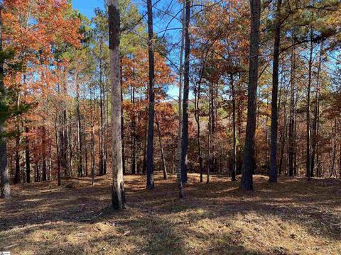 401 Top Ridge Dr, Sunset, SC 29685 photo 1