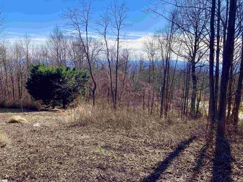 103 Raven Rd, Landrum, SC 29356 photo 1