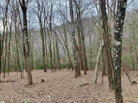 110 Catnip Trail #LOT 110, Landrum, SC 29356