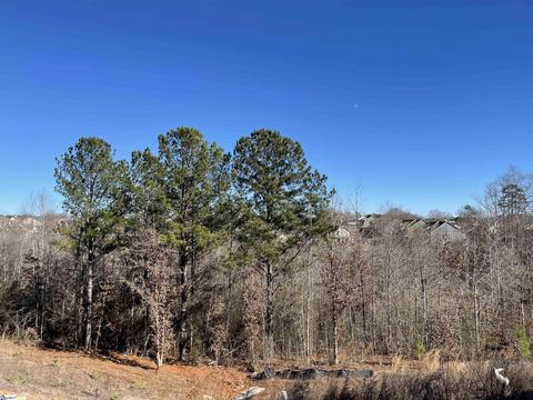 Undisclosed, Greer, SC 29651 photo 4