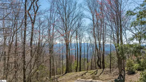 16 Lost Trail Dr, Landrum, SC 29356