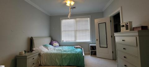 207 Doonbeg Ct, Simpsonville, SC 29681 photo 34