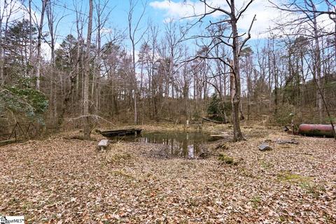995 Highway 357, Greer, SC 29651 photo 33