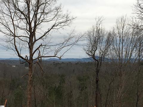 159 Candy Ln, Westminster, SC 29693 photo 6