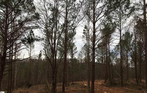 159 Candy Ln, Westminster, SC 29693 photo 20