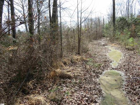 240 Echo Cir, Greer, SC 29651 photo 3