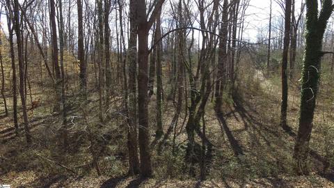 240 Echo Cir, Greer, SC 29651 photo 12