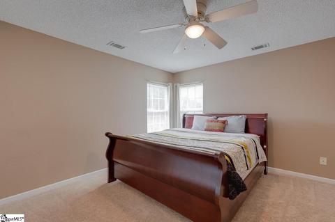 202 Constantine Way, Greer, SC 29650 photo 23