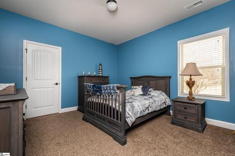 2 Murdock Ln, Greer, SC 29651 photo 23