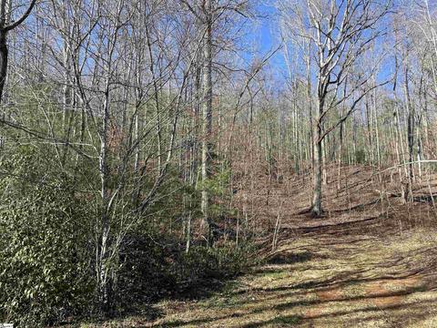 00 Geer Hwy, Cleveland, SC 29635