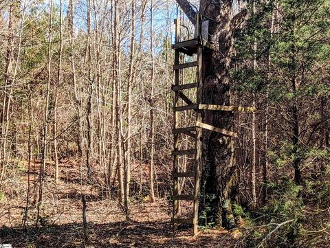 705 Eakin Rdg, Honea Path, SC 29654 photo 7