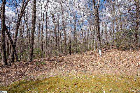 272 Delphinium Ct, Cleveland, SC 29635