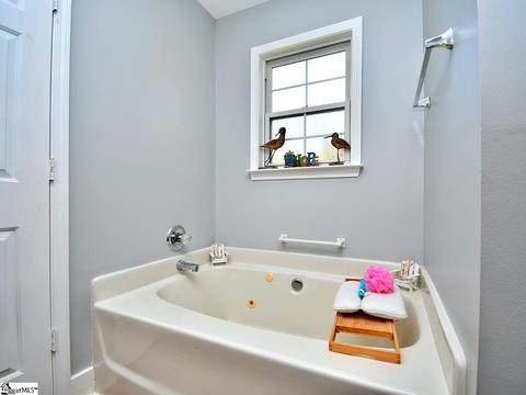 303 Packer Ct, Greer, SC 29651 photo 15