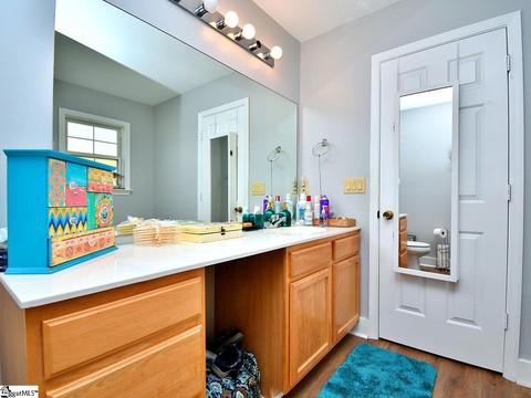 303 Packer Ct, Greer, SC 29651 photo 14