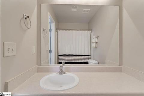 14 Seaside Ln, Greer, SC 29650 photo 20